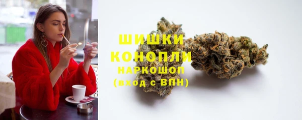 прущие грибы Магадан