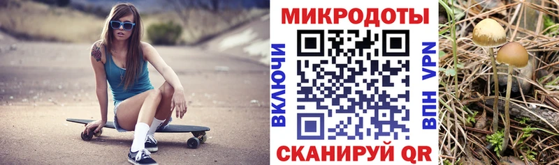 это как зайти  продажа наркотиков  Александровское  Галлюциногенные грибы мухоморы 